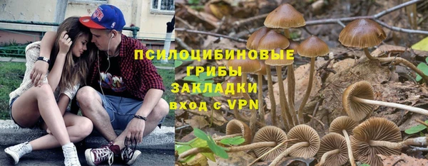 spice Алексеевка