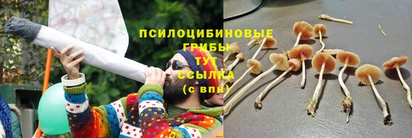 mdpv Видное